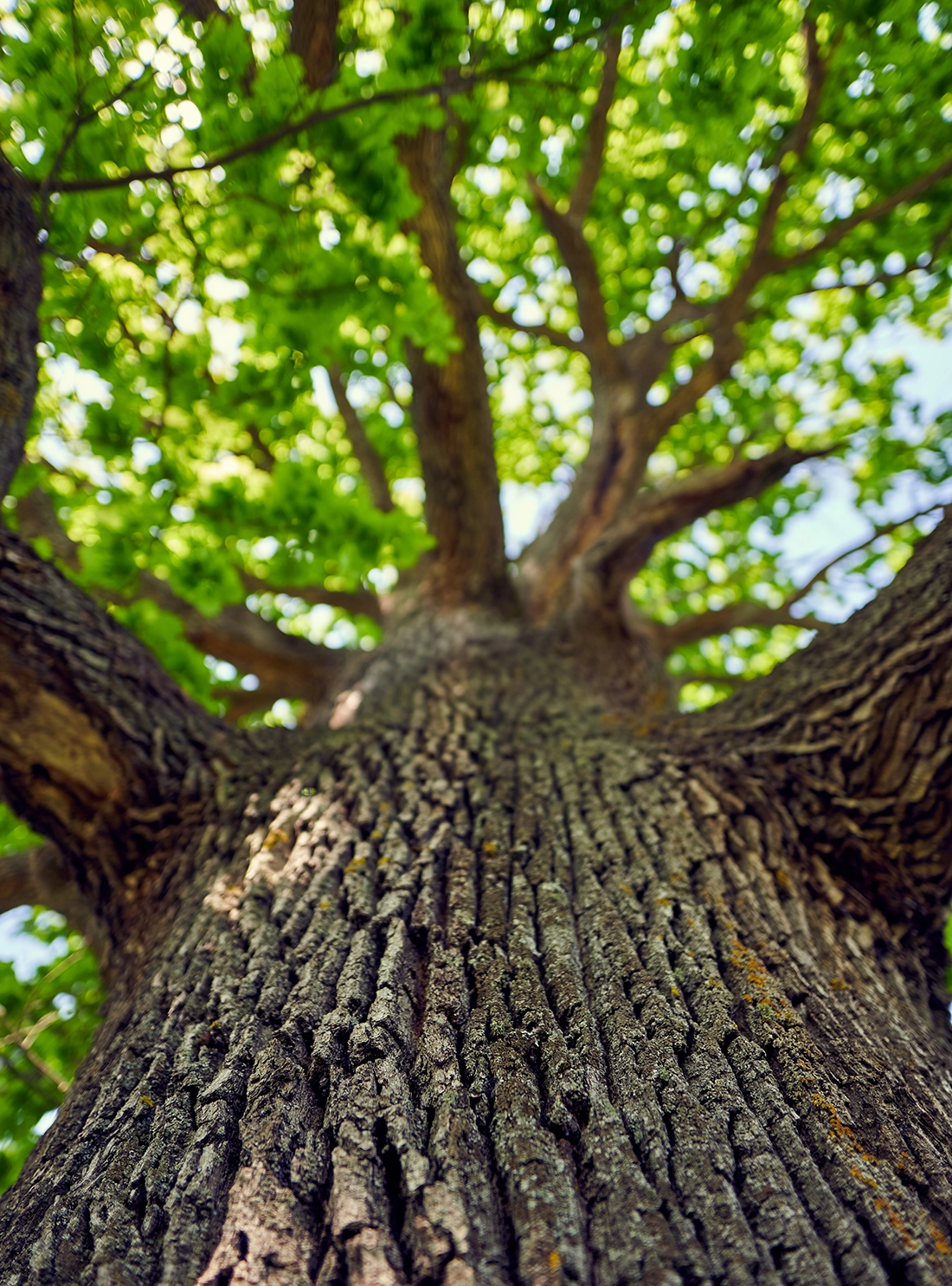 Adobestock 352531815 Adobestock 352531815