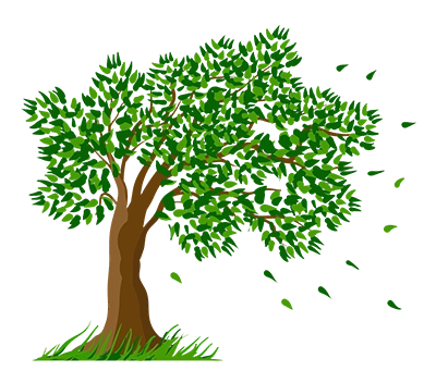 Muckleroy's Tree Service Logo