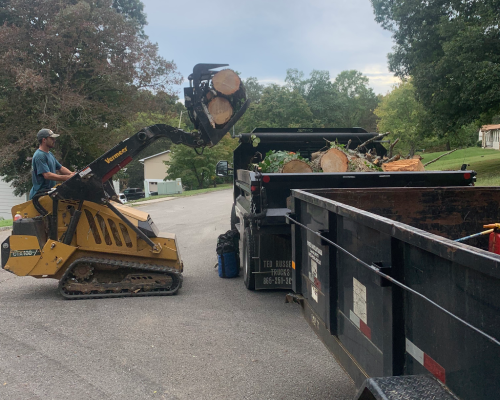 Tree Removal Tree Removal